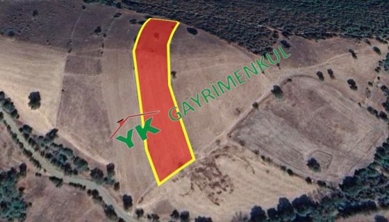 Balıkesir Kepsut Bükdere Satılık Tarla
