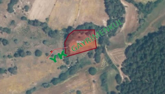 Balıkesir Dursun Bey hamzacık satılık tarla