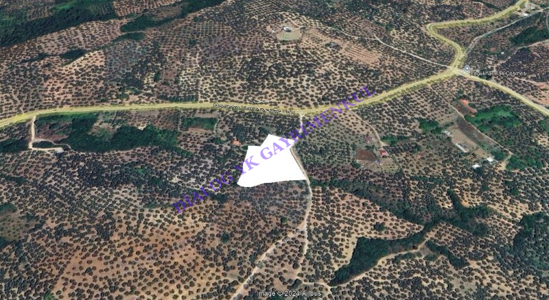 Mudanya Trilye de 5.228 m&sup2; Zeytinlik