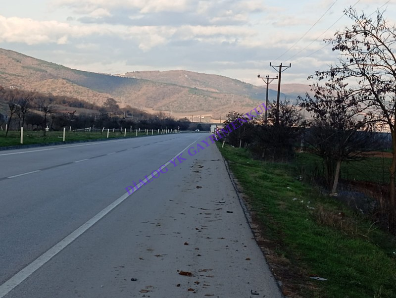 SATILIK BURSA YENİŞEHİR 4400 M2 TARLA